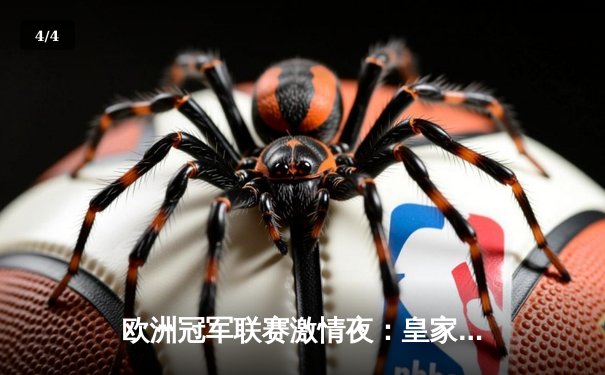 欧洲冠军联赛激情夜：皇家马德里逆转拜仁慕尼黑晋级决赛 - 4